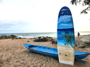  Hand-painted surfing boards decorate the beach in Mui Ne-a popular surfing and tourist destination in Vietnam 
