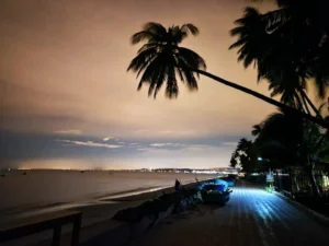  A night-time shot of a palm tree leaning over a beach in Mui Ne-a popular surfing and tourist destination in Vietnam 