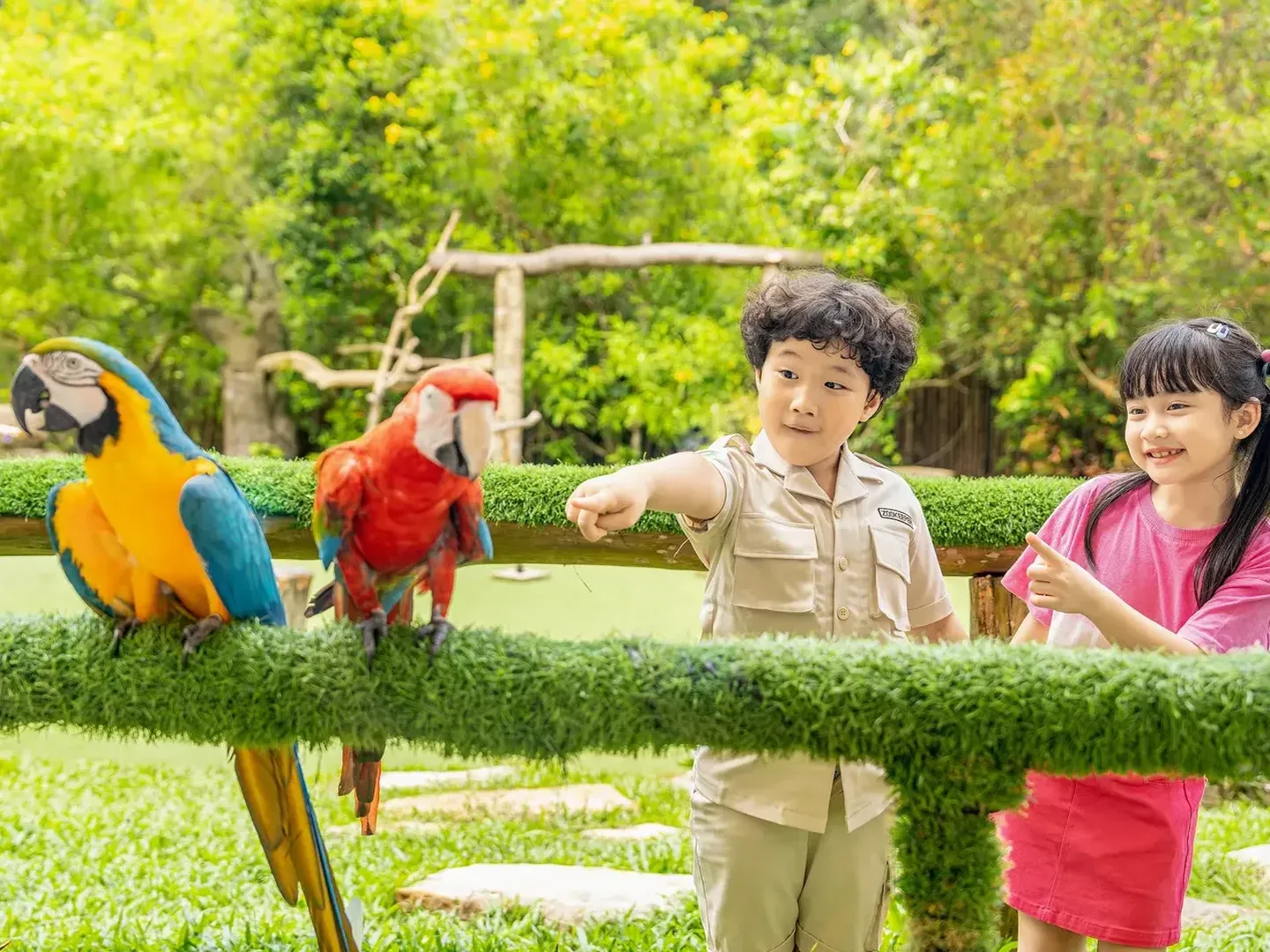  Kids interact with colorful birds in Safari Phu Quoc theme park-a popular tourist destination in Vietnam 