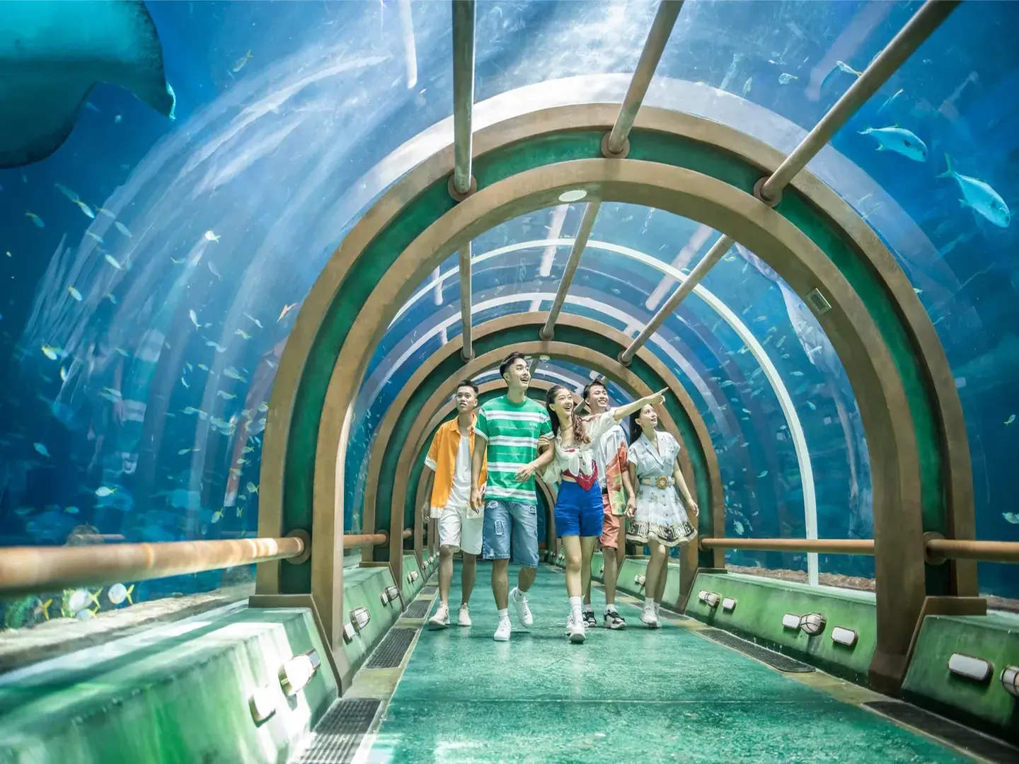  Underwater marine  life exploration tunnel in VinWonders Phu Quoc-a popular tourist destination in Phu Quoc Island in Vietnam 